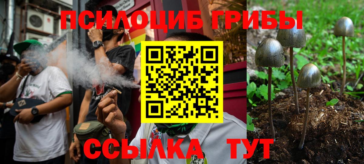 Псилоцибиновые грибы ЛСД Горячий Ключ